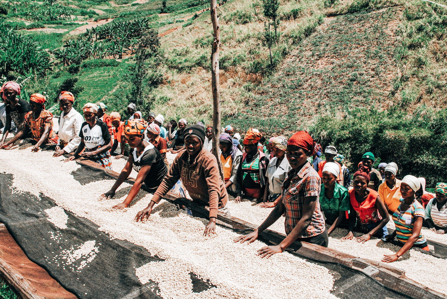 Rwanda - Rwamatamu Community